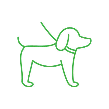 green icon - dog